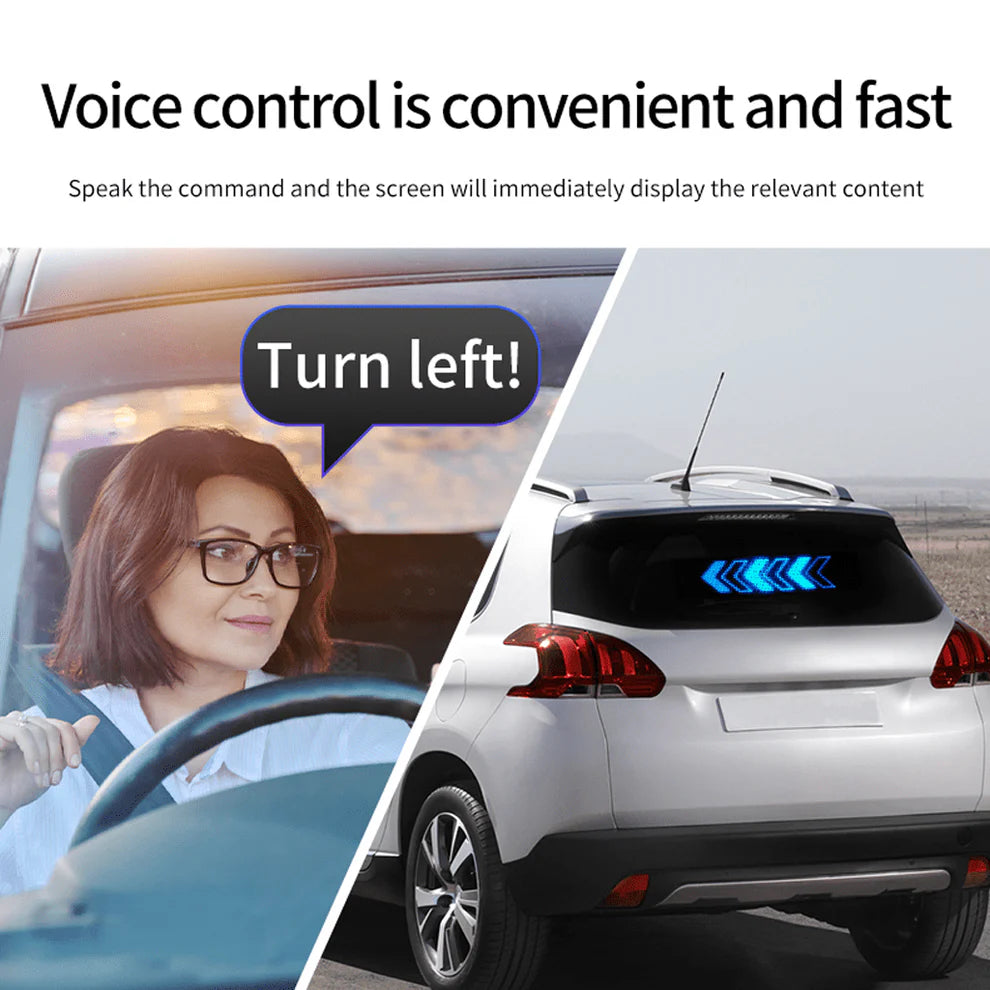 Programmable Light with APP+ Remote (Easy USB Plug in)